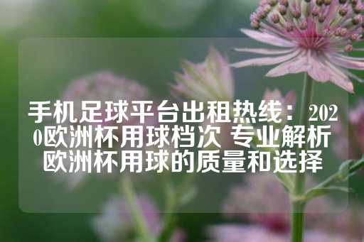 手机足球平台出租热线：2020欧洲杯用球档次 专业解析欧洲杯用球的质量和选择