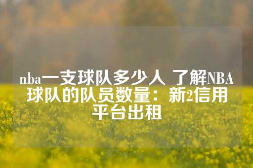 nba一支球队多少人 了解NBA球队的队员数量：新2信用平台出租-第1张图片-皇冠信用盘出租