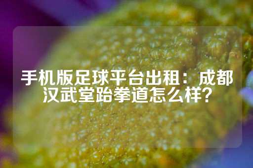 手机版足球平台出租：成都汉武堂跆拳道怎么样？-第1张图片-皇冠信用盘出租