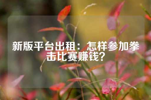 新版平台出租：怎样参加拳击比赛赚钱？