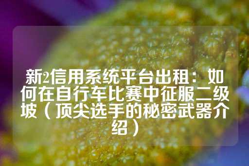 新2信用系统平台出租：如何在自行车比赛中征服二级坡（顶尖选手的秘密武器介绍）