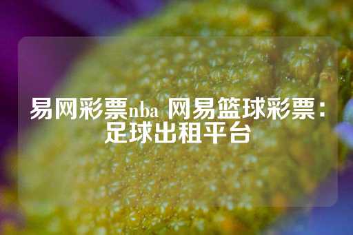 易网彩票nba 网易篮球彩票：足球出租平台-第1张图片-皇冠信用盘出租