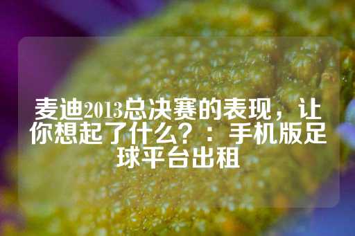 麦迪2013总决赛的表现，让你想起了什么？：手机版足球平台出租