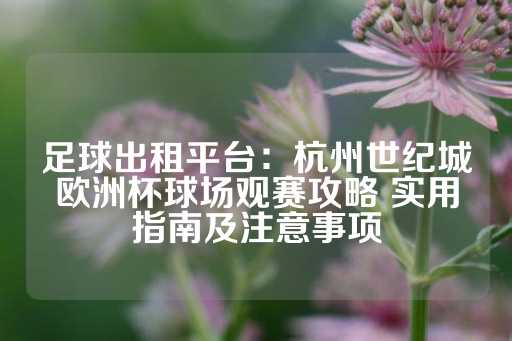 足球出租平台：杭州世纪城欧洲杯球场观赛攻略 实用指南及注意事项