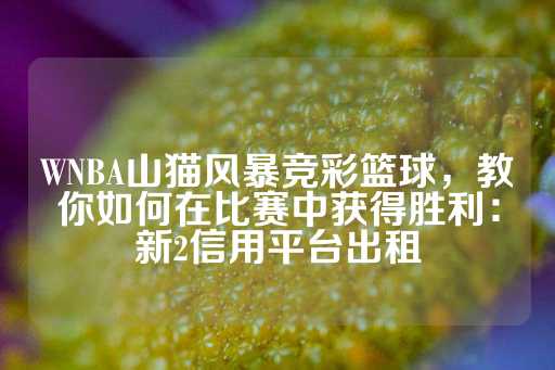 WNBA山猫风暴竞彩篮球，教你如何在比赛中获得胜利：新2信用平台出租-第1张图片-皇冠信用盘出租