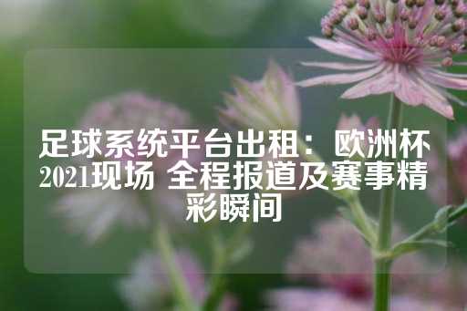 足球系统平台出租：欧洲杯2021现场 全程报道及赛事精彩瞬间-第1张图片-皇冠信用盘出租