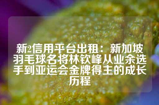 新2信用平台出租：新加坡羽毛球名将林钦峰从业余选手到亚运会金牌得主的成长历程-第1张图片-皇冠信用盘出租