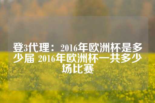 登3代理：2016年欧洲杯是多少届 2016年欧洲杯一共多少场比赛-第1张图片-皇冠信用盘出租