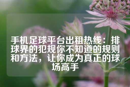 手机足球平台出租热线：排球界的犯规你不知道的规则和方法，让你成为真正的球场高手