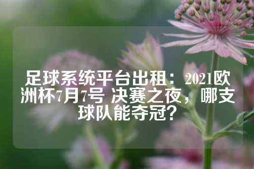 足球系统平台出租：2021欧洲杯7月7号 决赛之夜，哪支球队能夺冠？