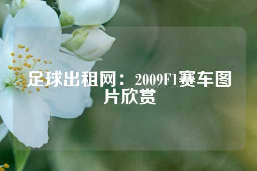 足球出租网：2009F1赛车图片欣赏-第1张图片-皇冠信用盘出租