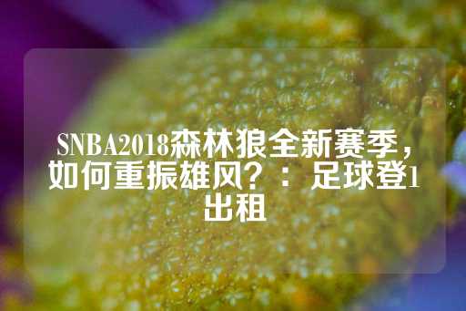 SNBA2018森林狼全新赛季，如何重振雄风？：足球登1出租