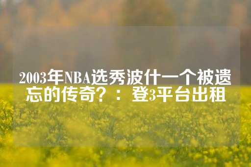 2003年NBA选秀波什一个被遗忘的传奇？：登3平台出租