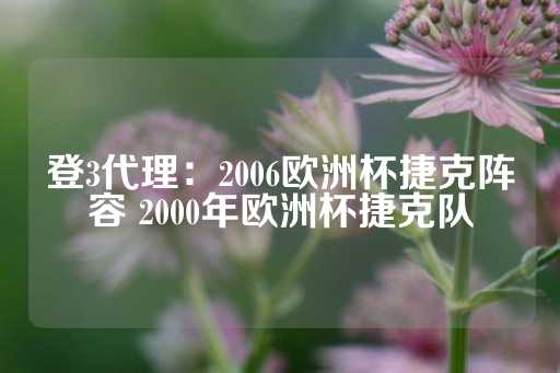 登3代理：2006欧洲杯捷克阵容 2000年欧洲杯捷克队-第1张图片-皇冠信用盘出租