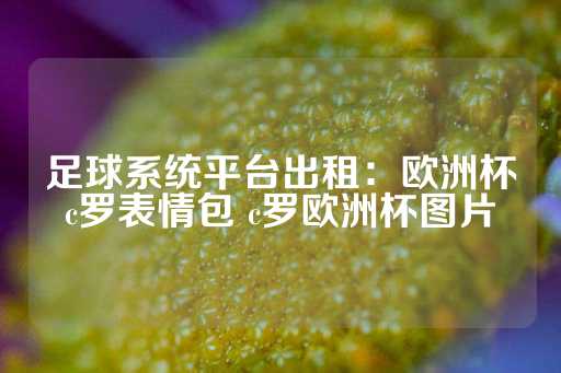 足球系统平台出租：欧洲杯c罗表情包 c罗欧洲杯图片