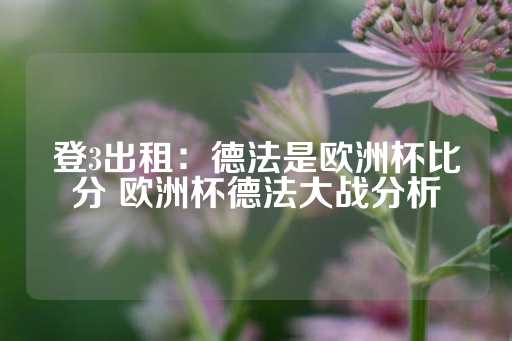 登3出租：德法是欧洲杯比分 欧洲杯德法大战分析