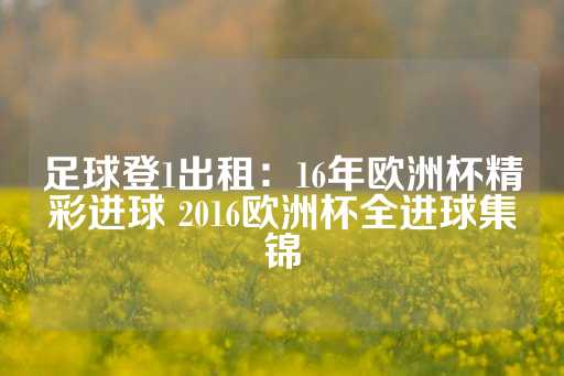 足球登1出租：16年欧洲杯精彩进球 2016欧洲杯全进球集锦-第1张图片-皇冠信用盘出租