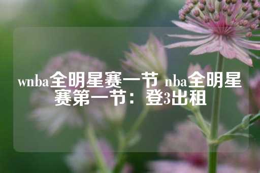 wnba全明星赛一节 nba全明星赛第一节：登3出租-第1张图片-皇冠信用盘出租