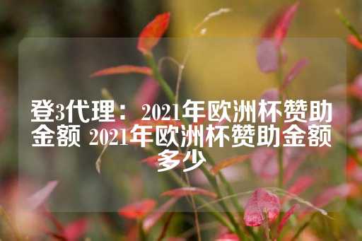 登3代理：2021年欧洲杯赞助金额 2021年欧洲杯赞助金额多少