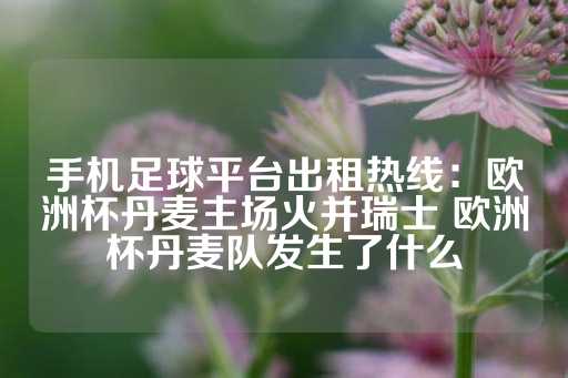 手机足球平台出租热线：欧洲杯丹麦主场火并瑞士 欧洲杯丹麦队发生了什么-第1张图片-皇冠信用盘出租