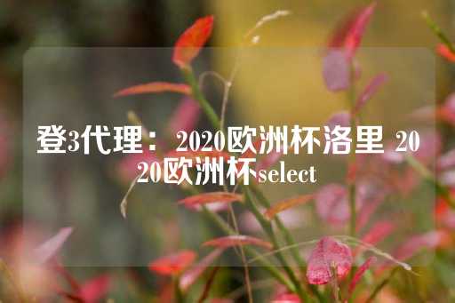 登3代理：2020欧洲杯洛里 2020欧洲杯select