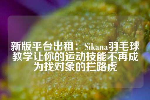 新版平台出租：Sikana羽毛球教学让你的运动技能不再成为找对象的拦路虎