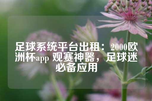 足球系统平台出租：2000欧洲杯app 观赛神器，足球迷必备应用-第1张图片-皇冠信用盘出租