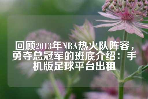 回顾2013年NBA热火队阵容，勇夺总冠军的班底介绍：手机版足球平台出租