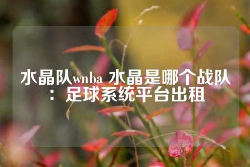 水晶队wnba 水晶是哪个战队：足球系统平台出租