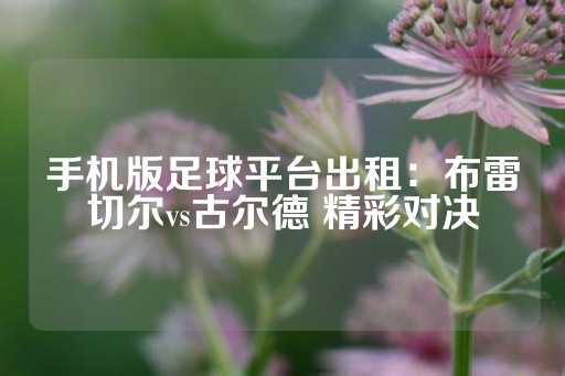 手机版足球平台出租：布雷切尔vs古尔德 精彩对决