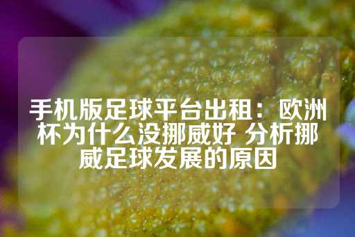 手机版足球平台出租：欧洲杯为什么没挪威好 分析挪威足球发展的原因