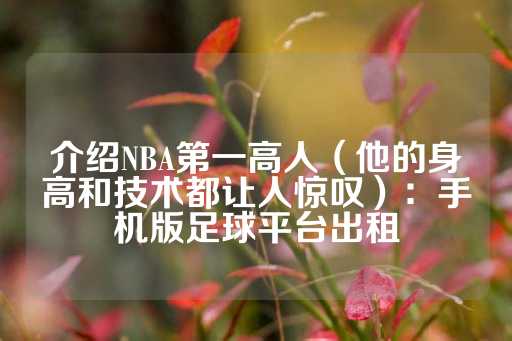 介绍NBA第一高人（他的身高和技术都让人惊叹）：手机版足球平台出租