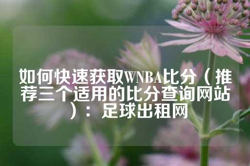 如何快速获取WNBA比分（推荐三个适用的比分查询网站）：足球出租网-第1张图片-皇冠信用盘出租