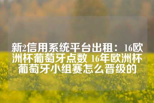 新2信用系统平台出租：16欧洲杯葡萄牙点数 16年欧洲杯葡萄牙小组赛怎么晋级的-第1张图片-皇冠信用盘出租