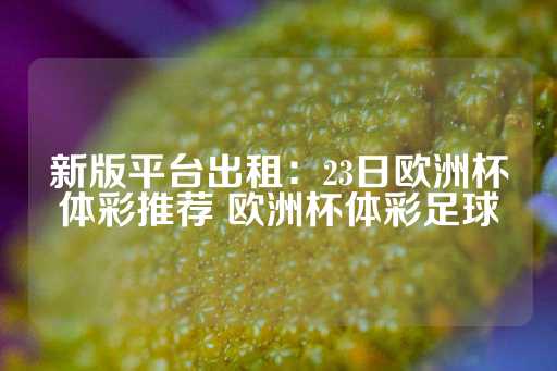 新版平台出租：23日欧洲杯体彩推荐 欧洲杯体彩足球