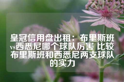 皇冠信用盘出租：布里斯班vs西悉尼哪个球队厉害 比较布里斯班和西悉尼两支球队的实力