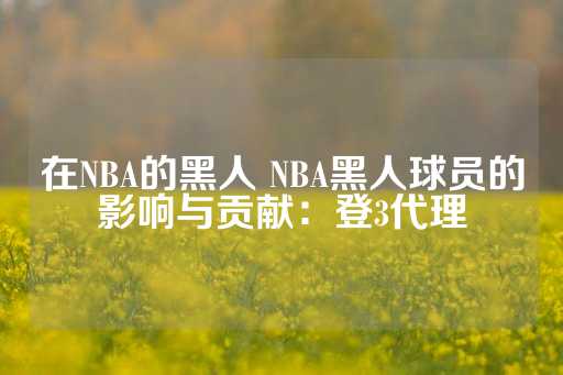 在NBA的黑人 NBA黑人球员的影响与贡献：登3代理