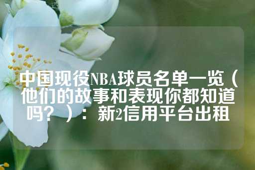 中国现役NBA球员名单一览（他们的故事和表现你都知道吗？）：新2信用平台出租-第1张图片-皇冠信用盘出租