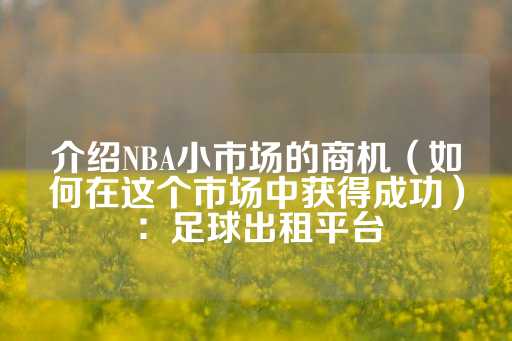 介绍NBA小市场的商机（如何在这个市场中获得成功）：足球出租平台-第1张图片-皇冠信用盘出租