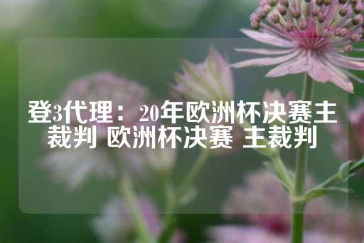 登3代理：20年欧洲杯决赛主裁判 欧洲杯决赛 主裁判-第1张图片-皇冠信用盘出租