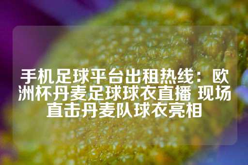 手机足球平台出租热线：欧洲杯丹麦足球球衣直播 现场直击丹麦队球衣亮相