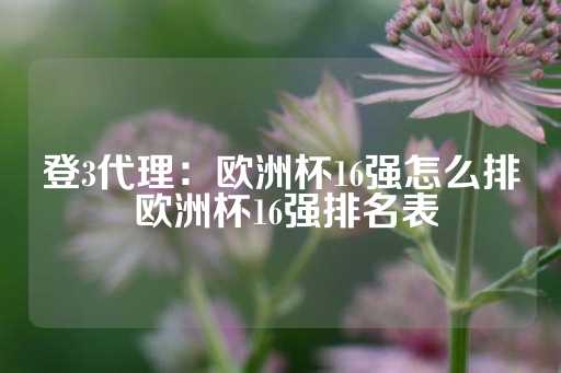 登3代理：欧洲杯16强怎么排 欧洲杯16强排名表-第1张图片-皇冠信用盘出租