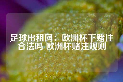 足球出租网：欧洲杯下赌注合法吗 欧洲杯赌注规则