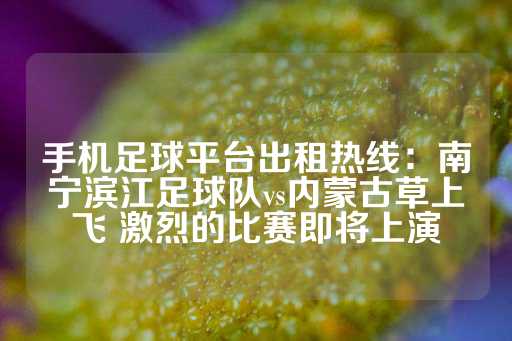 手机足球平台出租热线：南宁滨江足球队vs内蒙古草上飞 激烈的比赛即将上演-第1张图片-皇冠信用盘出租