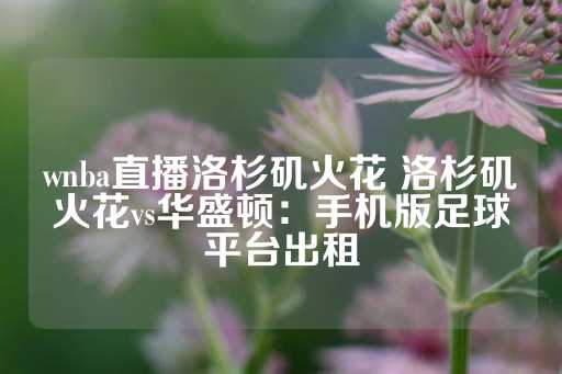 wnba直播洛杉矶火花 洛杉矶火花vs华盛顿：手机版足球平台出租