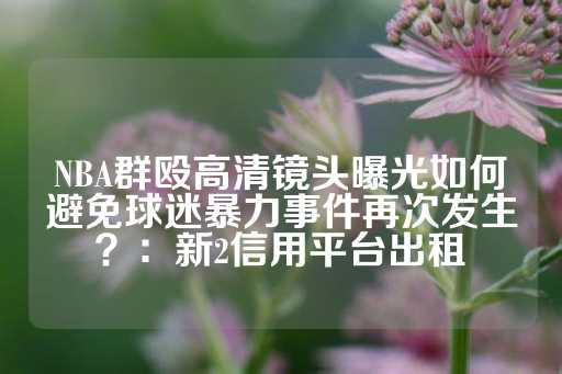 NBA群殴高清镜头曝光如何避免球迷暴力事件再次发生？：新2信用平台出租