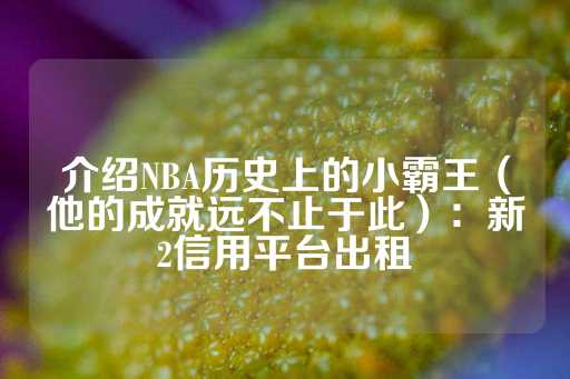 介绍NBA历史上的小霸王（他的成就远不止于此）：新2信用平台出租-第1张图片-皇冠信用盘出租