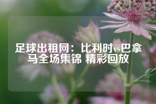 足球出租网：比利时vs巴拿马全场集锦 精彩回放