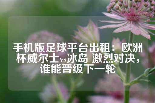 手机版足球平台出租：欧洲杯威尔士vs冰岛 激烈对决，谁能晋级下一轮