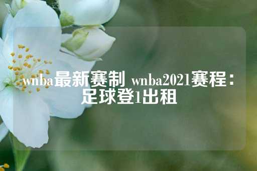 wnba最新赛制 wnba2021赛程：足球登1出租-第1张图片-皇冠信用盘出租